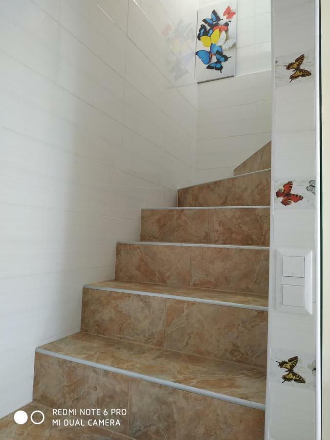 Guest House Butterfly Wing Odessa Buitenkant foto